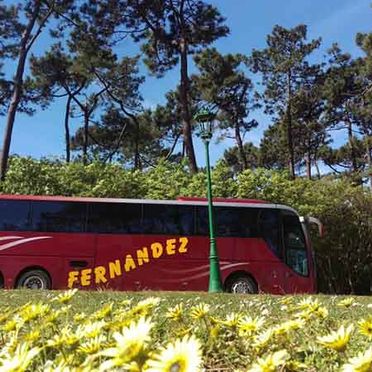 Autobuses Fernández bus jardín