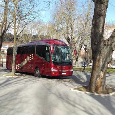 Autobuses Fernández bus entre árboles