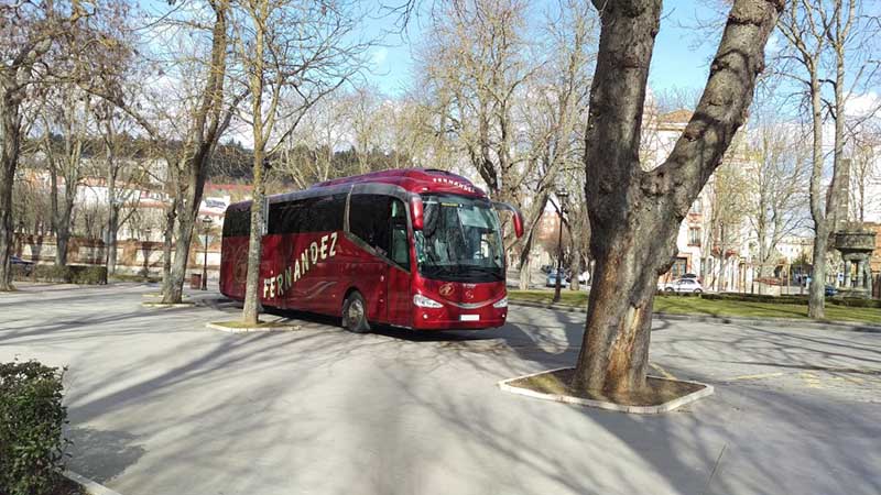 Autobuses Fernández bus entre árboles