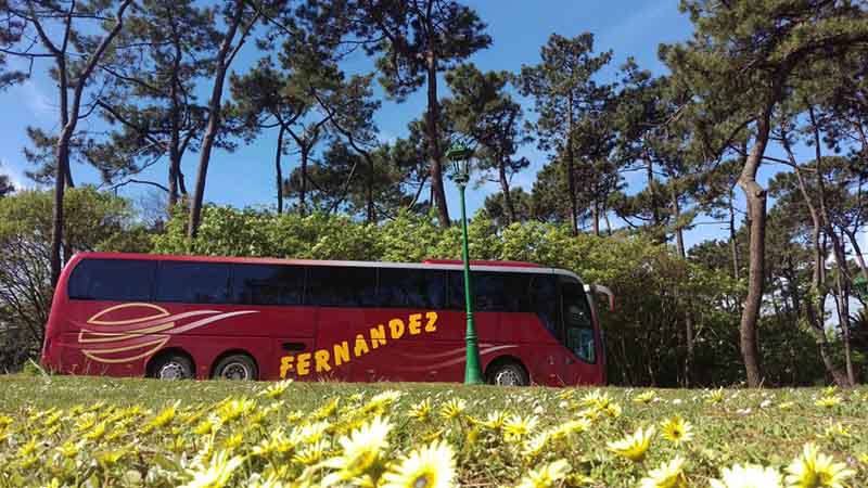 Autobuses Fernández bus jardín